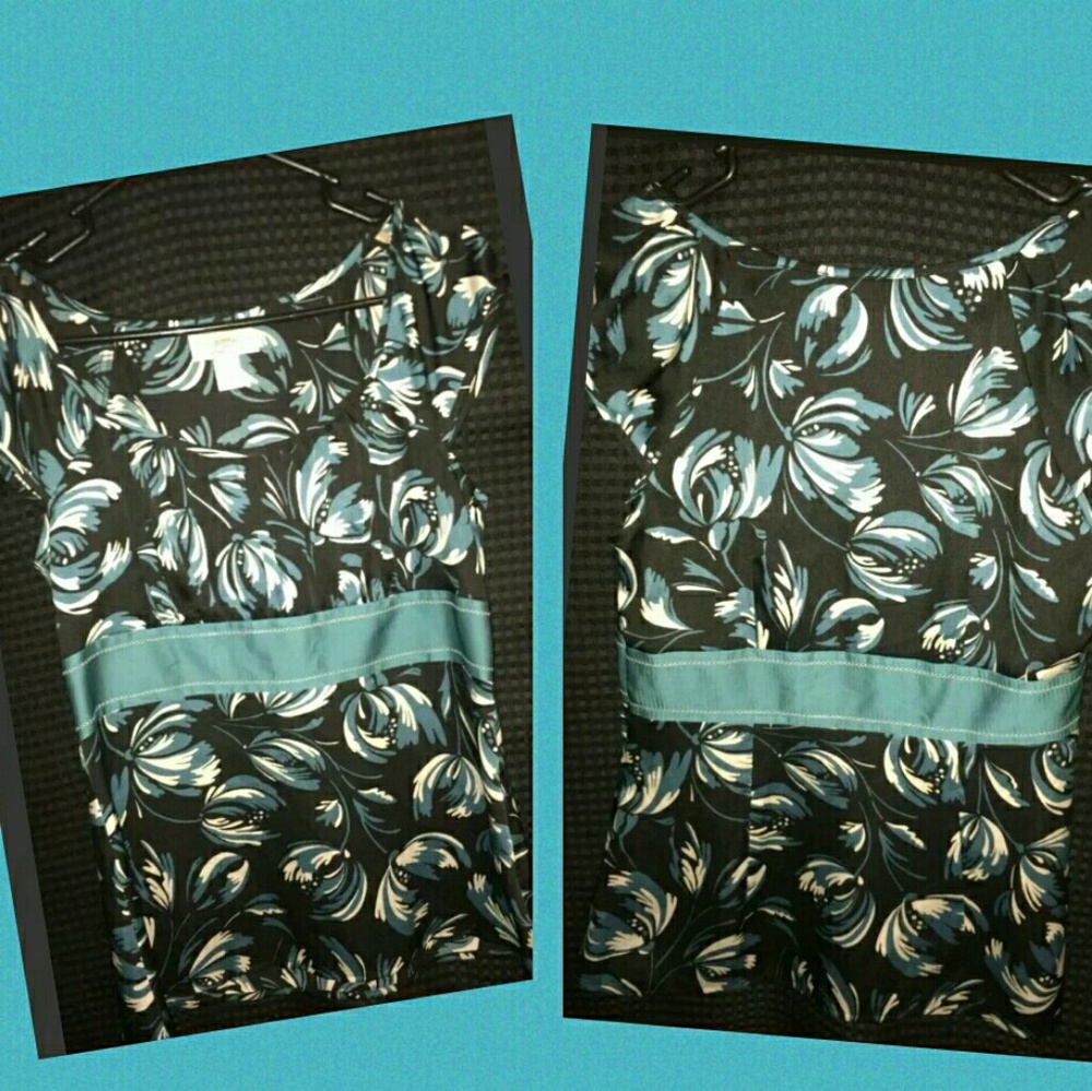 EUC Womens Ann Taylor Loft Size 6 Silk 100%